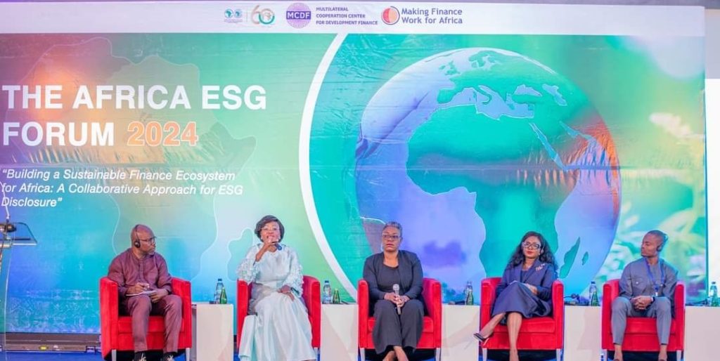 Sustainable finance ecosystem for Africa - Earthnews365
