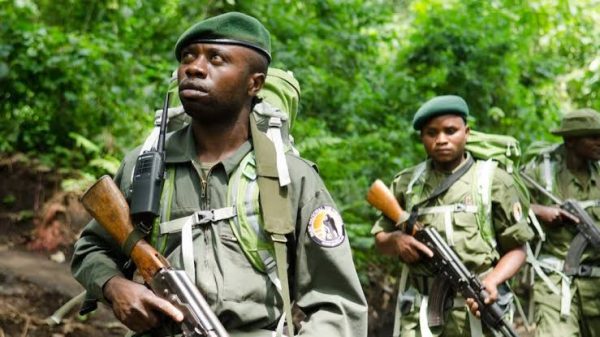 Game Rangers Association of Africa wants ranger safety and welfare ...