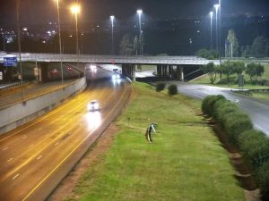 N12 reopened