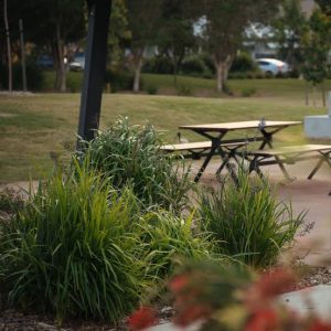 Public private community cooperation to refurbish Galliot Park