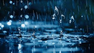 Heavy rains and winds up to level 8 in parts of the Cape