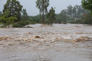 Kromme River burst its banks, forcing urgent evacuation in Kouga