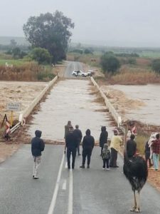 Few Ostriches rescued in Oudtshoorn’s storm