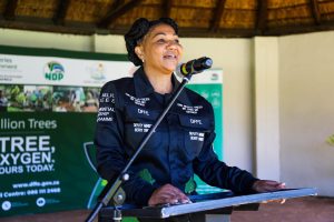 10 million trees to be planted around SA