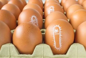 Salmonella outbreak infected 150 people 