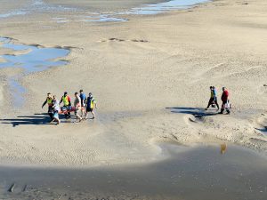 Vehicle plunged into river with driver in Port Elizabeth 