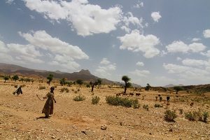 Northern Greater Horn of Africa likely to receive below-normal rainfall this year