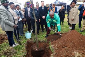 Trees planted in Ekurhuleni to commemorate Biodiversity Day