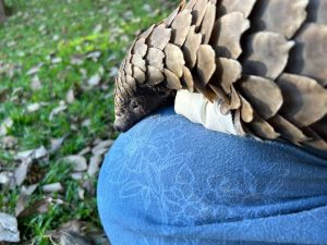 Justice for Naledi