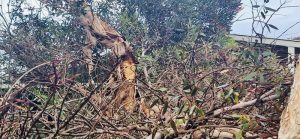Rising waters sweep across Syria, Guyana and Australia this weekend 