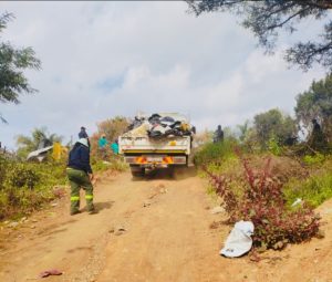 Multiple organisations tidy up the Ferndale Bird Sanctuary and Arboretum