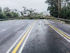 Garden Route could have heavy rains of up to level 8