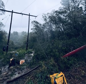 Heavy rains interrupted services and led to road closures in the Garden Route 