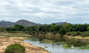 Bodies of a man and woman recovered from the Crocodile River on Sunday
