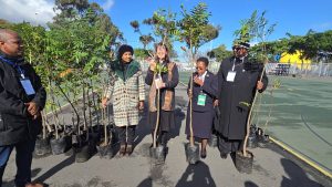 500 trees to be donated to the Council of Churches