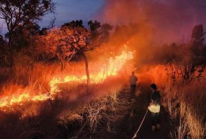 Three firefighters dead and two injured in Utah fires