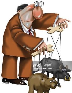 What rand manipulation?