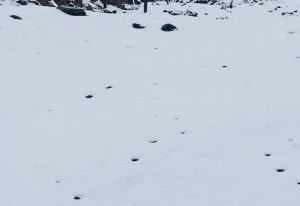 Snow on the Lesotho border/Eastern Cape