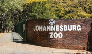 Joburg Zoo joins global animal care organisation 