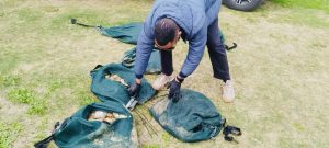 Police uncovered 1,048 units of abalone in Gqeberha