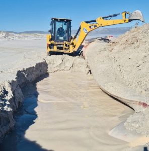 Burial of rare Fin Whale underway near Gansbaai