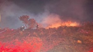 Veld fire in Quellerina contained