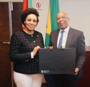 SA and Mozambique met to discuss energy needs