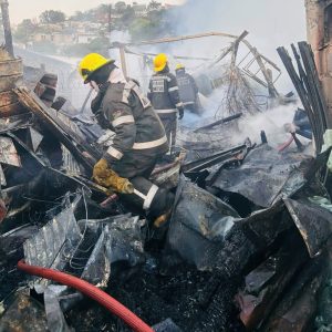 15 informal homes destroyed in aggressive Springfield fire