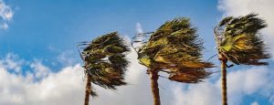 Damaging waves and winds expected over KwaDukuza and Kosi Bay in KwaZulu Natal