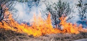 Damaging winds and waves as well as a fire warning in the Northern Cape