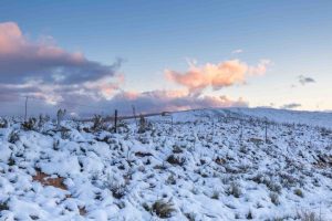 Disruptive snow at Level 6 on Sunday over parts of the Eastern Cape 