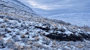 Several Passes closed due to slippery snow