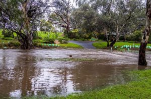 Cold front moves to the East Coast, after sweeping through southern Australia 