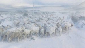 Inclement weather forced closure of roads and disrupted electricity supply in KZN and Eastern Cape