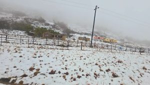 Icy and windy conditions expected to persist in parts of the country