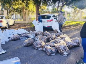 Police found over 9000 units of abalone at a facility in Brackenfell