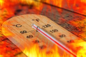 An intensified El Niño to begin this Spring