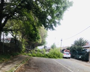 Parts of the Eastern Cape without power and  residents urged to take caution in windy Joburg