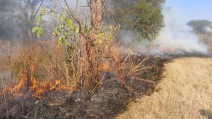 Authorities are investigating a fire in uMtshezi