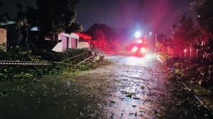 Uprooted trees affected several routes around the country