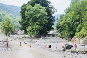 Nepal observes a day of mourning 