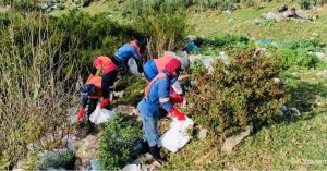 Grabouw community tackles pollution in waterways after discovery of an unknown fungal substance