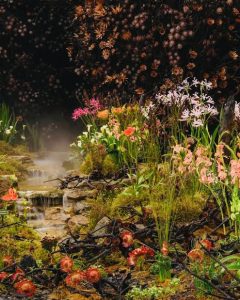 Stanford in Bloom in full swing, showcasing SA’s “Life After Fire”