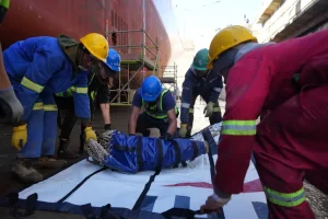 Four Cape Fur Seals rescued by Two Oceans Aquarium 