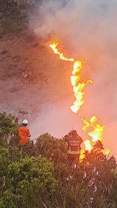 Active fire above Simondium in the Cape Winelands