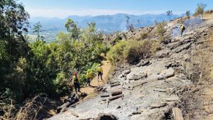 Fire at La Plaisir Wine Estate contained