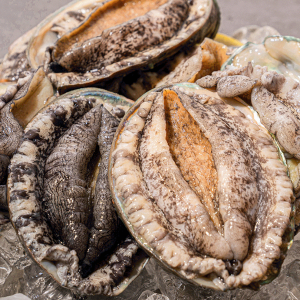 38-year old arrested for abalone smuggling worth an estimated half a million rands