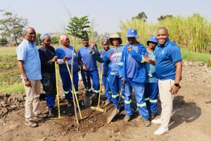 Some 6,000 trees planted across SA on Arbor Day, the first of a million to come