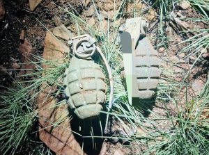 Two hand grenades found in Roodepoort 
