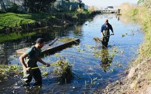 Restoration work completed at the Westlake River and tributary streams